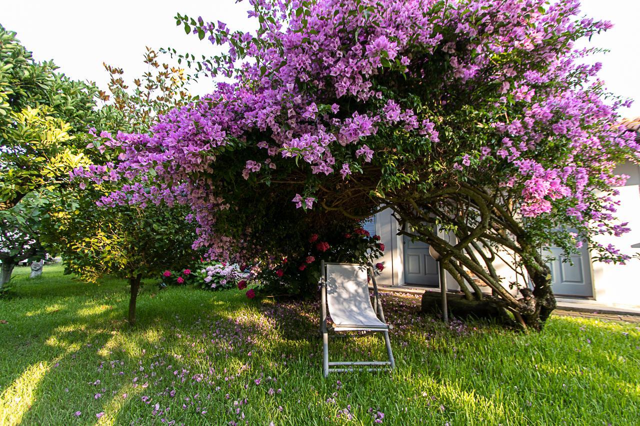 Villa Hermes San Ferdinando Exterior foto